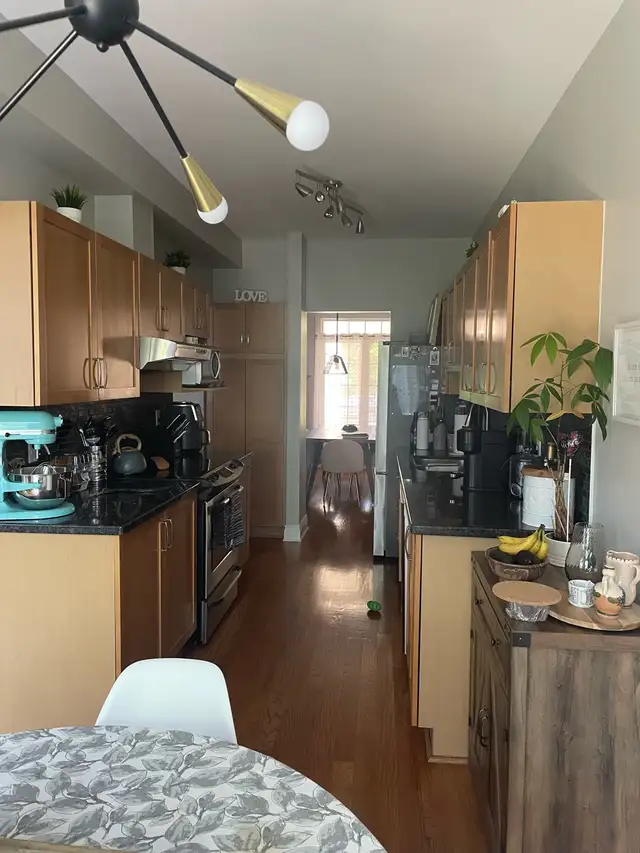 Large finished basement with full bathroom for rent  in Room Rentals & Roommates in Ottawa - Image 11