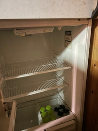 Full sized fridge
