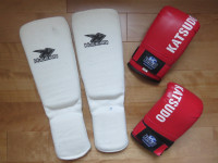 Gants de boxe et pads protecteurs pour karate