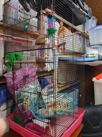 Large Bird Cage for sale