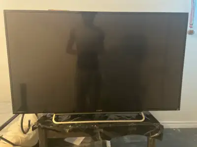 55 inch Sony Brivia Tv, View more