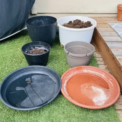 $15 for all. I'm selling a variety of used plastic garden pots, perfect for all your planting needs!...