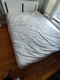 Ike Queen sized Mattress with ikea protector :200$