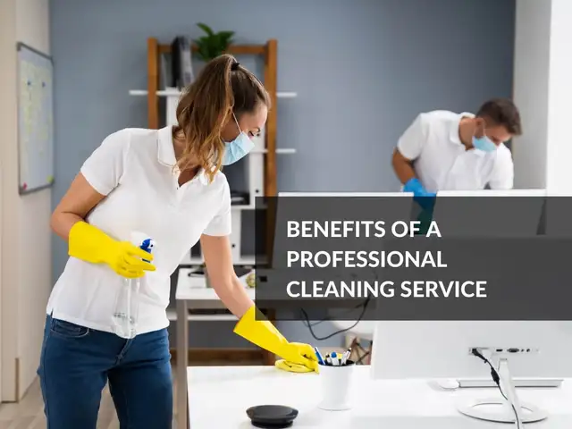 White Glove Standard - Elite Home & Office Cleaning62863718006530124