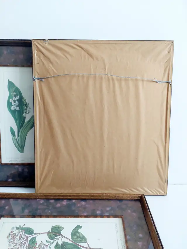 3 'Edwards Botanicals' prints, by Bombay Compa in Home Décor & Accents in Hamilton - Image 6