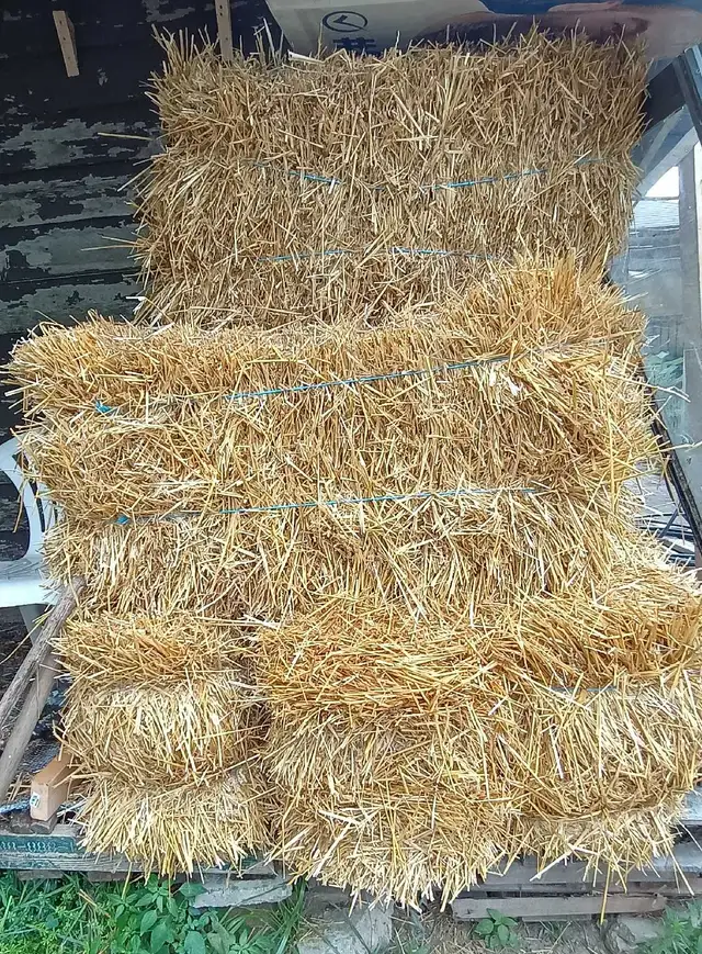 Straw bales for sale North York $15 each*