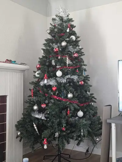 Christmas tree, View more