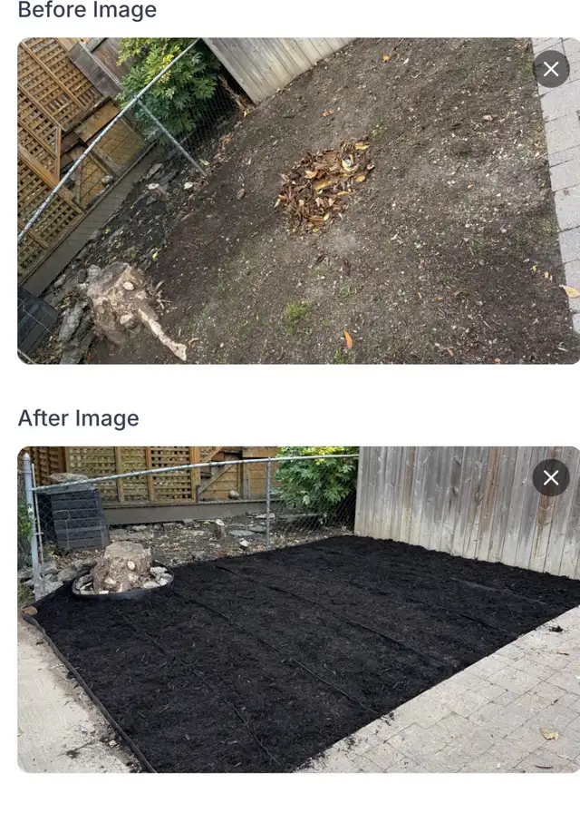 Leaf Raking, Weed removal,  Tree Cut,Mulch, & Tree cut services in Lawn, Tree Maintenance & Eavestrough in City of Toronto - Image 3