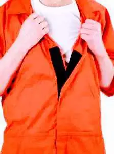 Authentic 2x Trilcor Jail Jumpsuit, View more