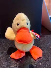 Quackers the TY Duck