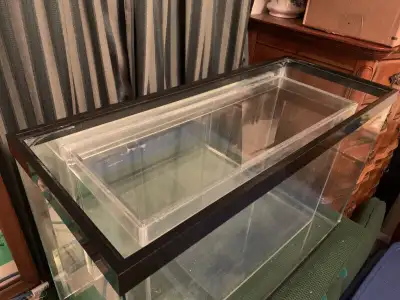 Acquarium Insert with Lid, View more