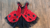 Ladybug Halloween costume 