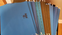 Hanging File Folders (21) Plus Plastic Tabs