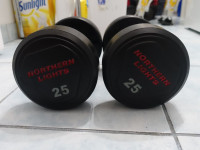 Dumbbell Northern Lights 25 lbs