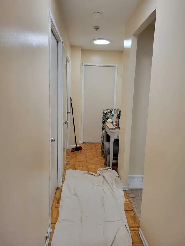 House and Condo Painter596423643990609923