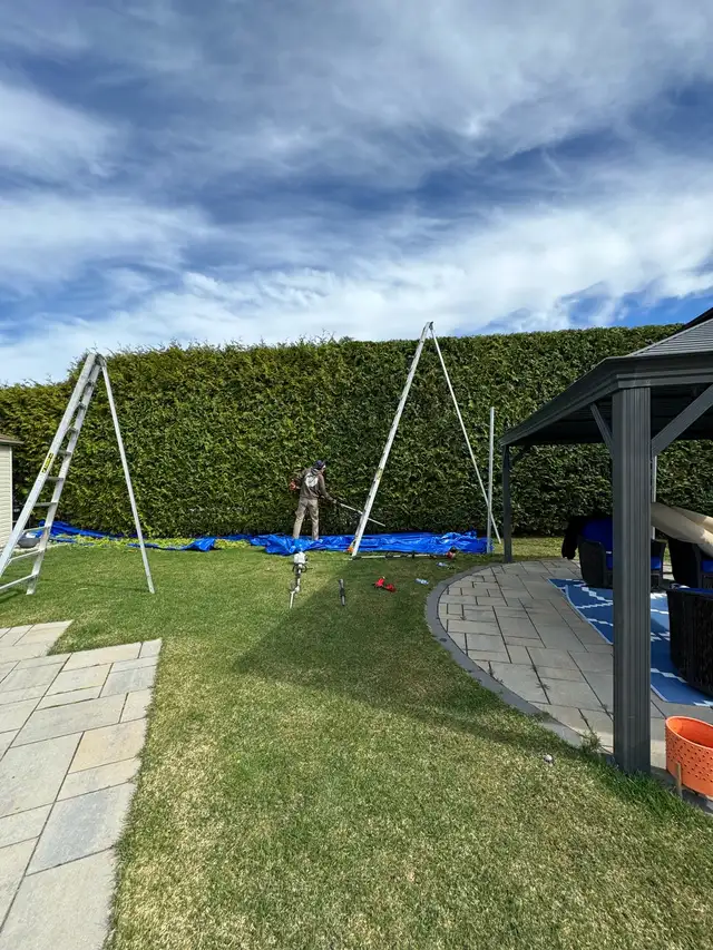 Hedge Trim / Planting /Removal / Aeration / Dethatch / hiring62863719805058124