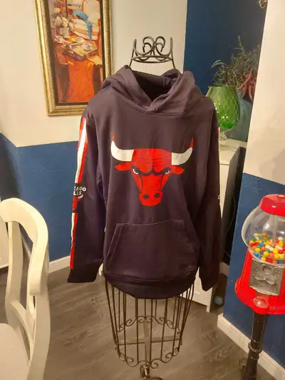 Chicago bulls youth hoodie 10/12, View more