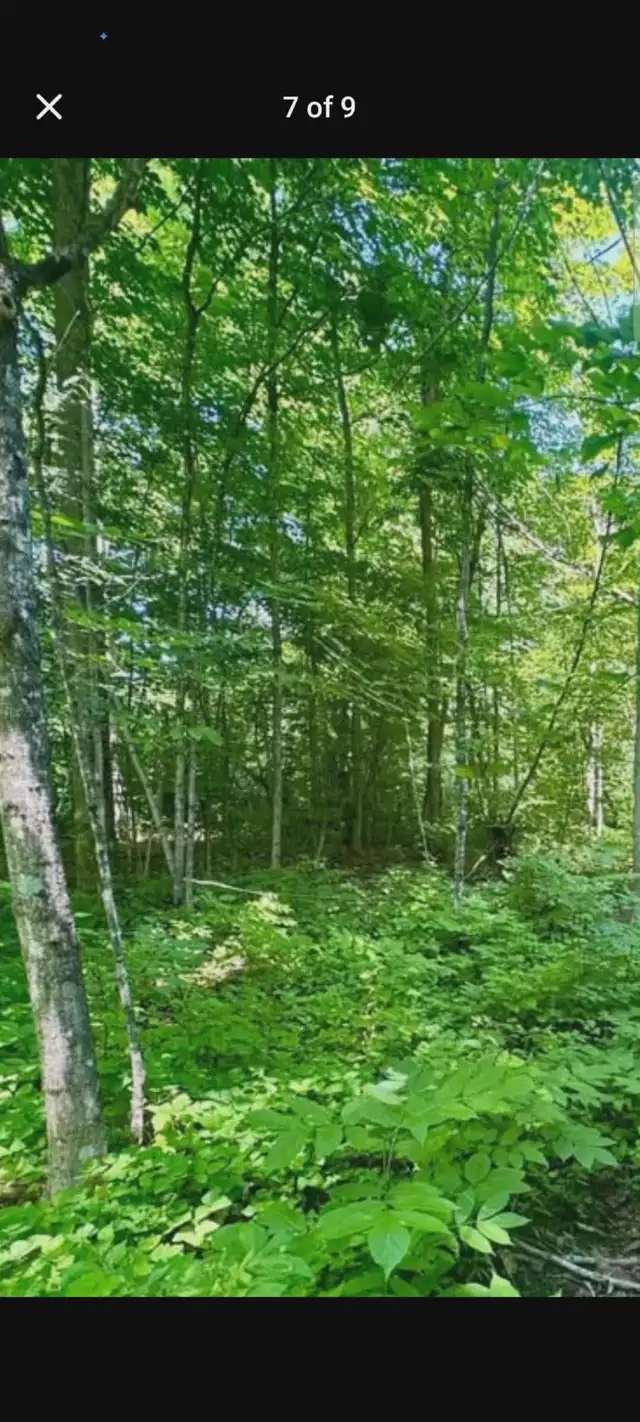 Stunning 21 acre building lot for sale in Land for Sale in Ottawa - Image 9