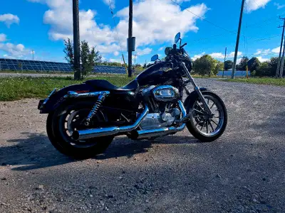 Fuel injection model. 42,500 kms. Needs nothing for safety that I know of. Runs great. Recently rode...