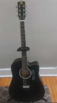 RE Acoustic/Electric guitar package (SCAM)