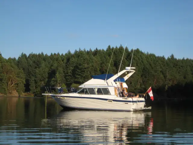 Bayliner 2855 - 375 hp VP Duo Prop in Powerboats & Motorboats in Comox / Courtenay / Cumberland - Image 5