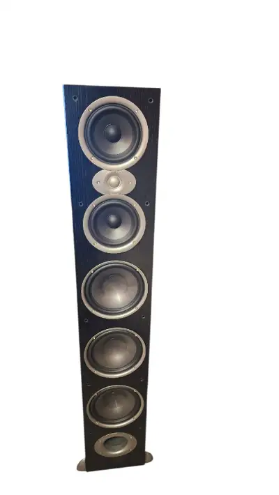flagship speaker, View more
