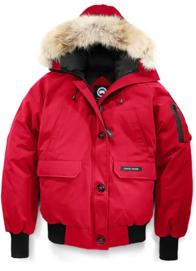 Canada Goose Bomber Coat in Women's - Tops & Outerwear in Gander - Image 2