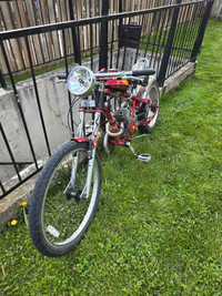 Motorized Chopper Bicycle 