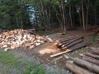 Hemlock/spruce fence posts sharpened or blunt edge 