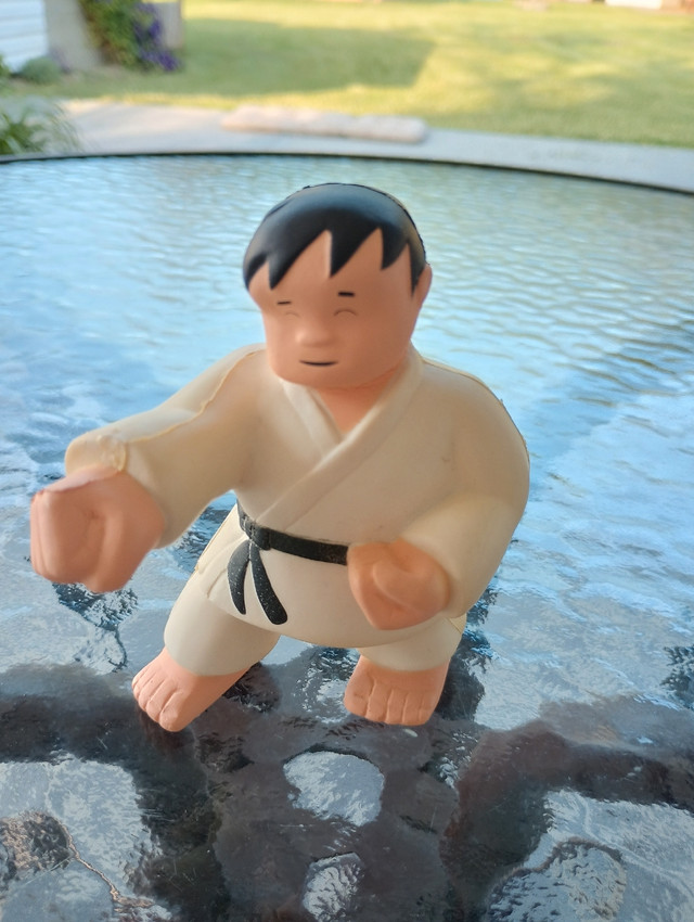 Martial Arts Stress Toy in Toys & Games in Windsor Region
