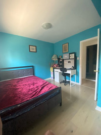 Looking female  renter for April 25
