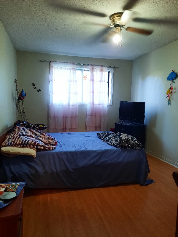 ROOMS FOR RENT 500 Room Rentals & Roommates Mississauga / Peel