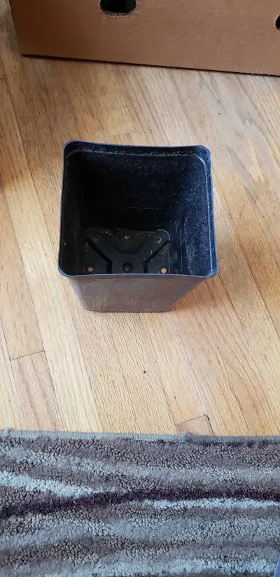 Have 50 black pots for $20 This sturdy 6-inch nursery starter plant pot is perfect for your gardenin...