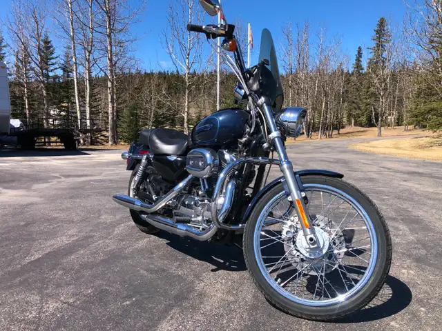 2009 HD Sportster, XL1200c in Street, Cruisers & Choppers in Edmonton - Image 3