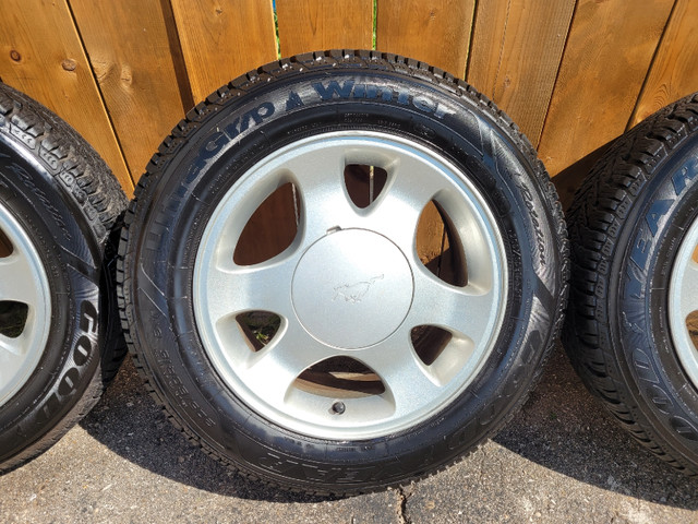 Ford mustang rims with 205 60 15 Goodyear winter tires.  in Tires & Rims in Cambridge - Image 2