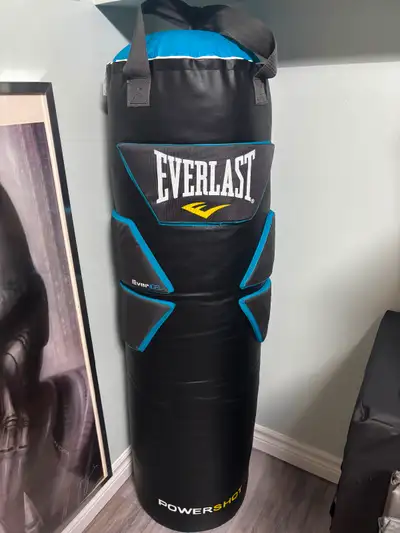 Everlast PowerShot Heavy Bag, View more