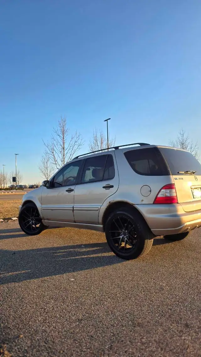 2003 Mercedes ML 350568795635500994563