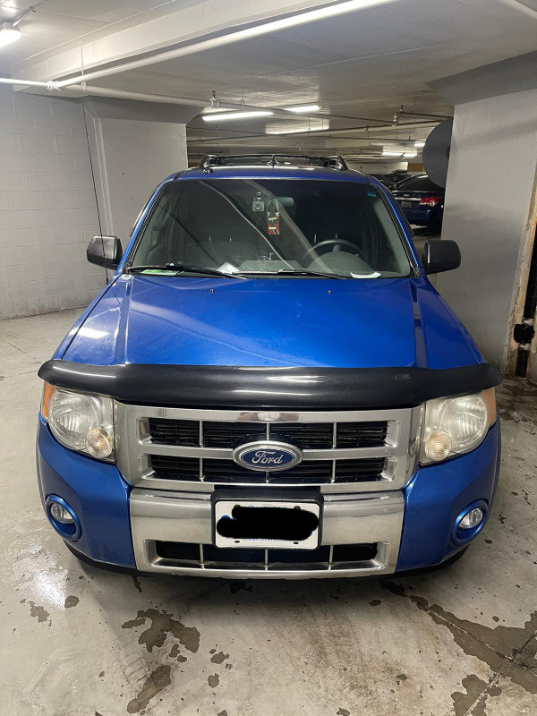 2011 Ford Escape XLT FWD, 4999 OBO in Cars & Trucks in City of Toronto - Image 4