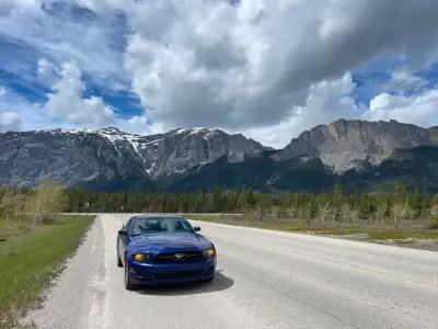 Includes both winter and summer tires.