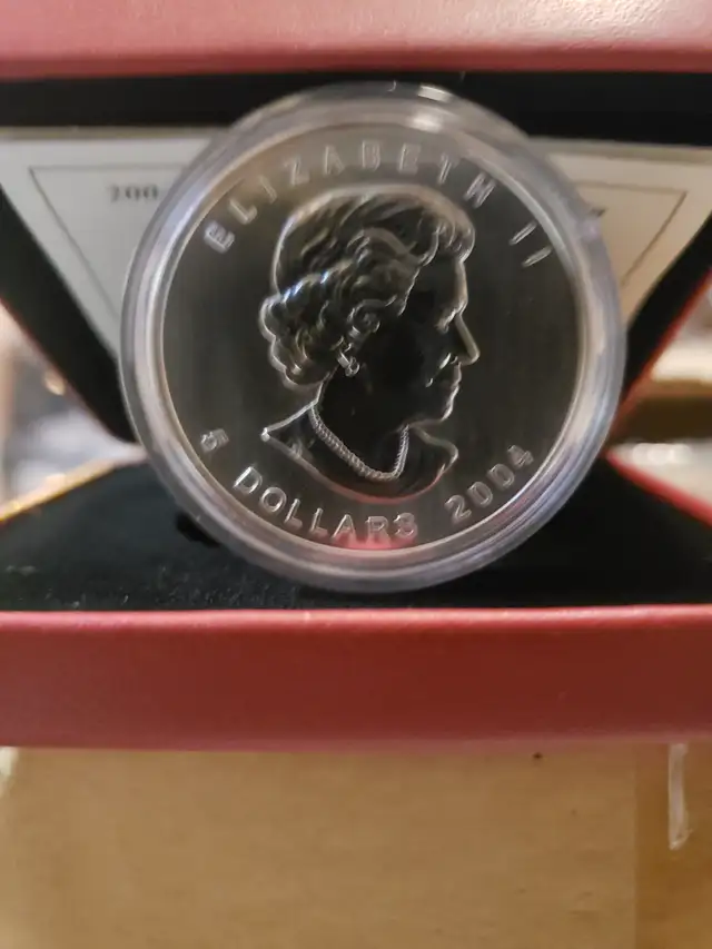2004 Silver Maple Coin.64959983710593123