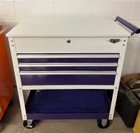 Viper Tool Storage Cabinet Purple and White