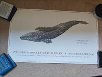 Large Whale Print for Framing