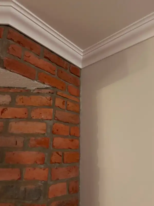 Residential painter/ Residential painter62863232237058123