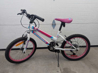 Fly Girl Supercycle Bicycle