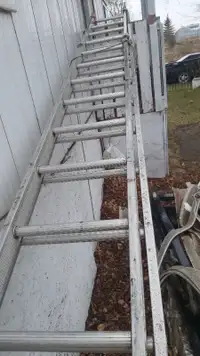 40 extension ladder  Grade 1AA