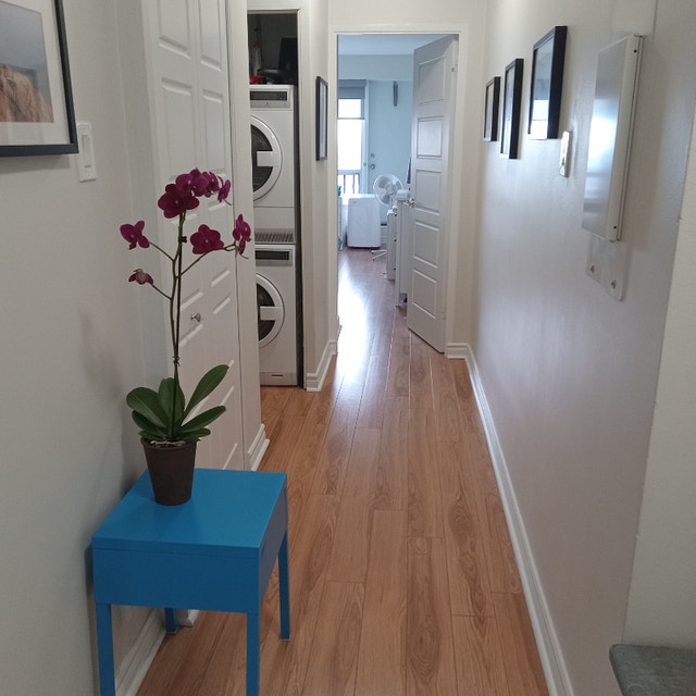 2 MONTHS FREE!! LARGE 1 BEDROOM TO RENT NEAR SNOWDON METRO Locations longue durée Ville de