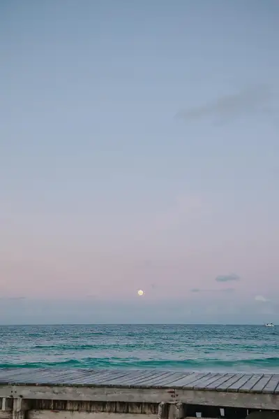 Must have experienced in Resturant/fast food. Able to work in fast paced environments. Must hv food...