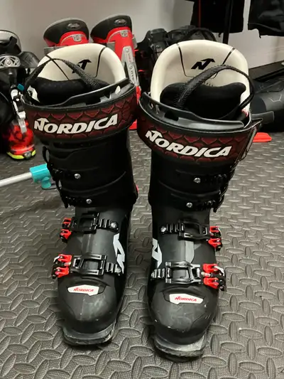 Nordica Promachine ski boot, View more