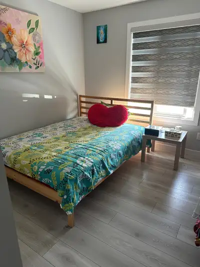 room for rent