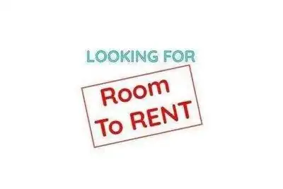 Hi at the end of August my boyfriend and I are looking for a place to call home . As our lease will...